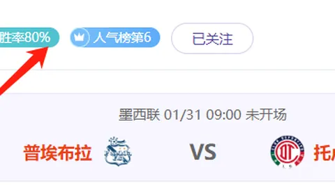 广东女篮击败内蒙古，重返WCBA总决赛舞台